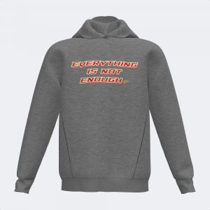 SUDADERA CON CAPUCHA LION GRIS MELANGE